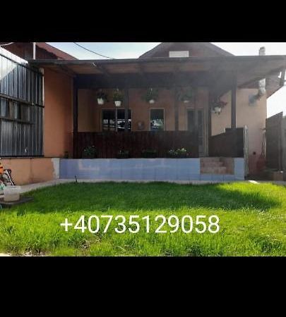 Central City House Tulcea Exterior photo