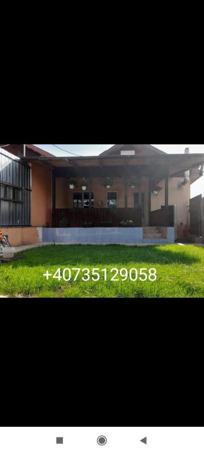 Central City House Tulcea Exterior photo